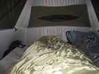 In the Tent - 1