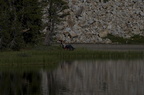 Swamp Lake 2012 - 146