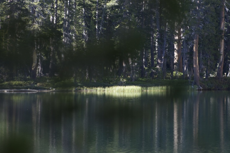 Swamp_Lake_2012_-_178.jpg