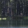 Swamp Lake 2012 - 190