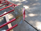 IMG 0026