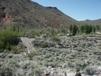 mojave road 017