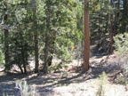 IMG 0003