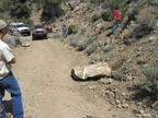 IMG 0004