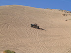 IMG 0004