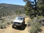 Trail Maintenance - 55