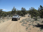 Trail Maintenance - 78