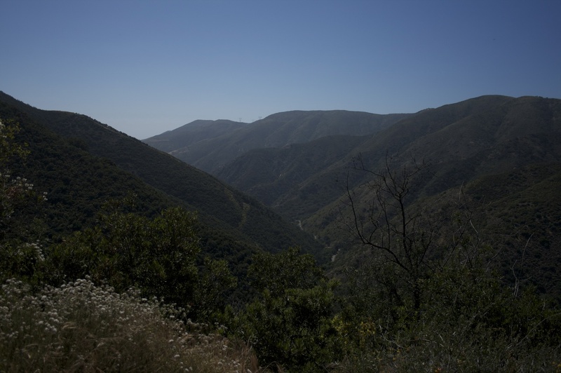 Looking_at_Santiago_Canyon_Road.jpg