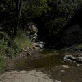 Maple Creek Bridge - 1