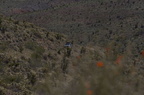 IMG 0061