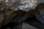 IMG 0222