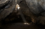 IMG 0229