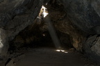 IMG 0231