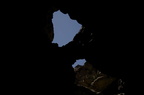 IMG 0236