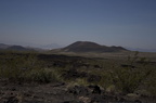 IMG 0238