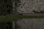 Swamp Lake 2012 - 146