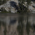 Swamp Lake 2012 - 147
