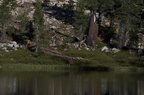 Swamp Lake 2012 - 169
