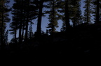 Swamp Lake 2012 - 222