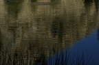 Swamp Lake 2012 - 226