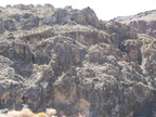 IMG 0433