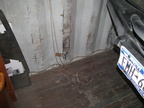 IMG 0441