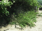 20130519 2N49 Run - 42