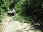 20130519 2N49 Run - 43