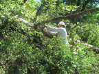 20130519 2N49 Run - 44