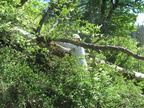 20130519 2N49 Run - 45