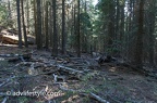 Sierra Trip - Sequoia-Kings Canyon