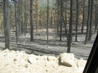 Lake Fire Recon - 08