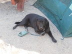 DSCN0348