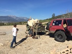 IMG 0341