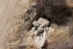 20170610-2N47-Blocked culvert