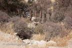 20170610-2N47-Blocked culvert 2